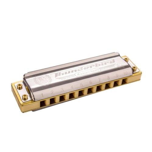 Hohner Thunderbird low Bb