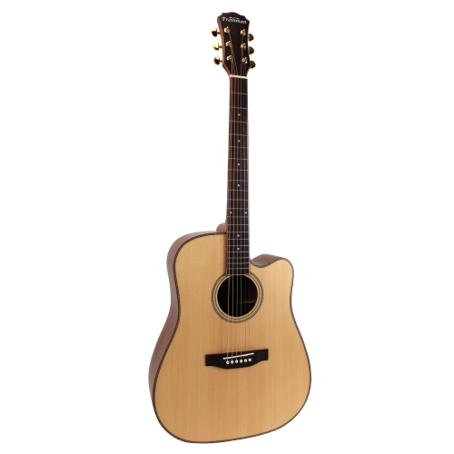 Freshman guitar, folk, SONGDCE, dreadnought, natural electro.