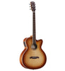 Alvarez ABT60CESHB ARTIST