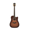 D'Angelico Excel Bowery Autumn Burst