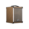 GR Guitar Acoustic 6 NF Natural Fiber