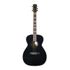 Godin Connaisseur Folk GT + gig bag