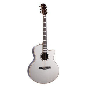 Godin Connaisseur MJ Satina Grey RW + Etui