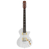 Larry Carlton I5H I.Silver