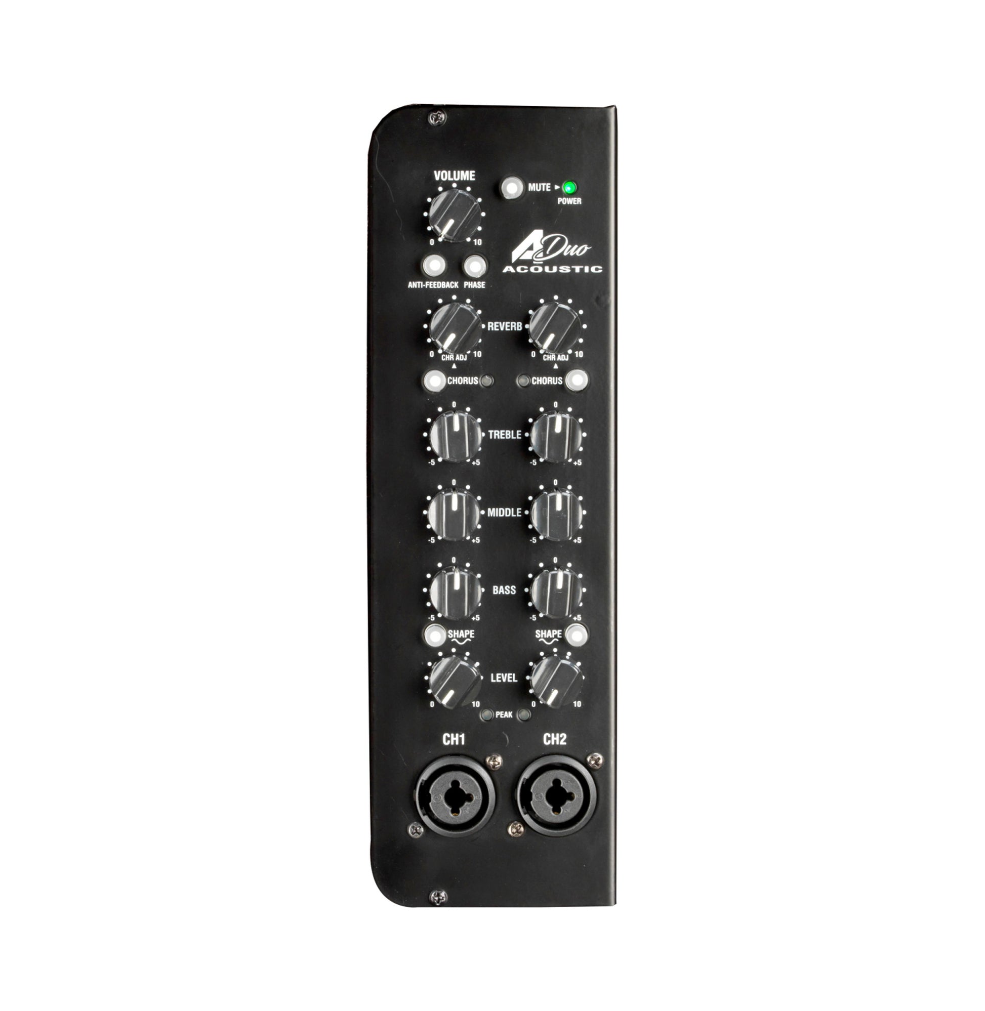 Ampli guitare acoustique 120W (Classe D) A-Duo-2, 2x HP 8" double cône, 2 canaux identiques, marron