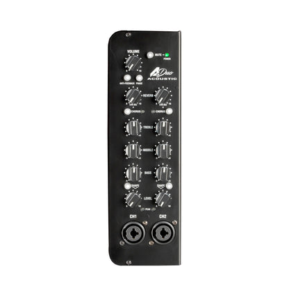 Ampli guitare acoustique 120W (Classe D) A-Duo-2, 2x HP 8" double cône, 2 canaux identiques, marron
