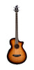 Breedlove Solo Pro Concerto EdgeBurst Bass