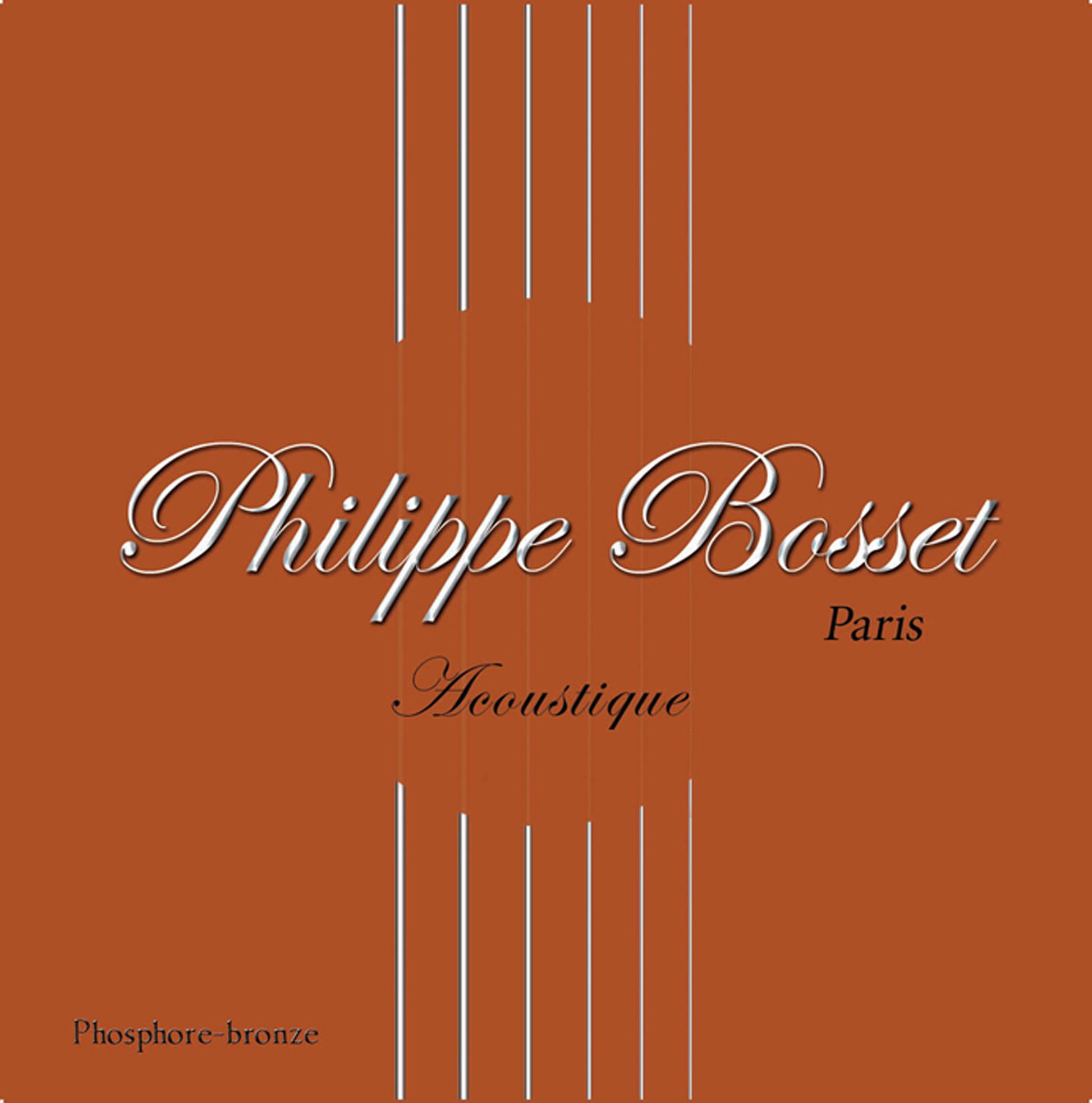Corde pour acoustique 042w, phosphore bronze
