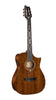 Cort Luxe Nylon Signature Frank Gambale