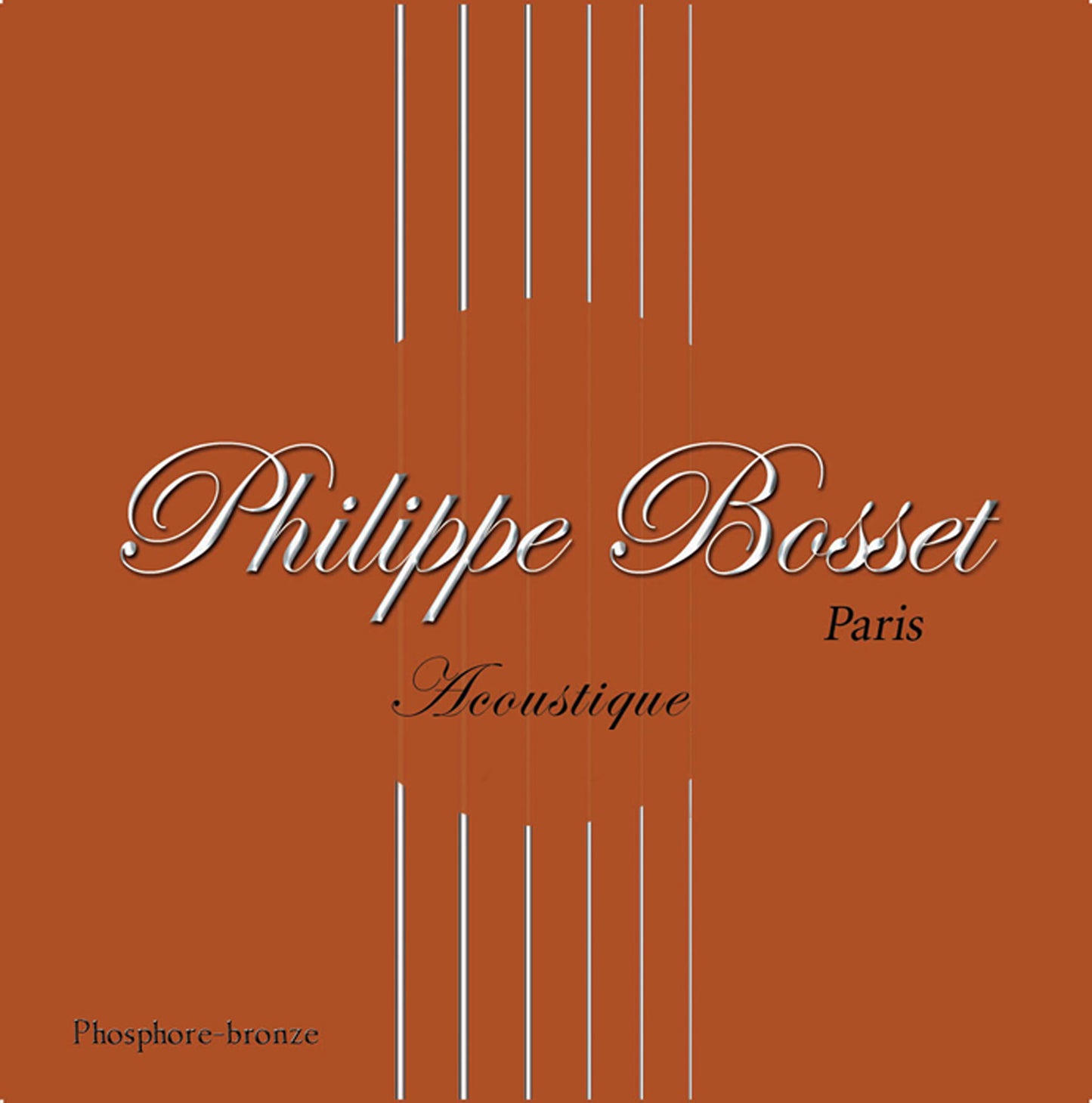 Corde pour acoustique 009, phosphore bronze