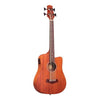 gold tone basse électro-acoustique M-BASS/FL